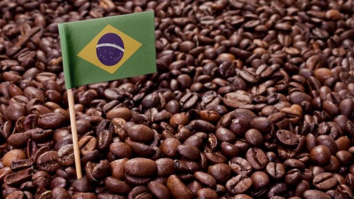 Tháng 12-2024 sản lượng cà phê Brazil xuất khẩu giảm đến 17,1%